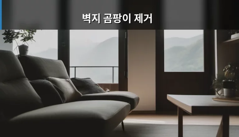 벽지 곰팡이 제거 방법과 곰팡이 예방 가이드