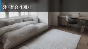 장마철 습기 제거, 우리 집 눅눅함 완벽하게 잡는 생활 꿀팁