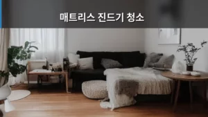 매트리스 진드기 청소, 쾌적한 숙면을 위한 완벽 가이드