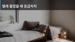 벌레 물렸을 때 응급처치, 이것만 알면 대처 끝!