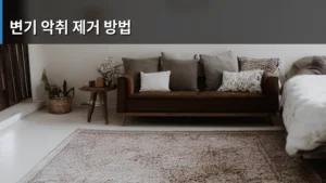 변기 악취 제거 방법, 냄새 걱정 끝내는 생활 꿀팁 대방출
