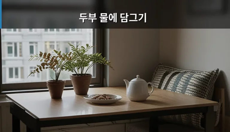 두부 물에 담그기 보관법과 신선도 유지 꿀팁