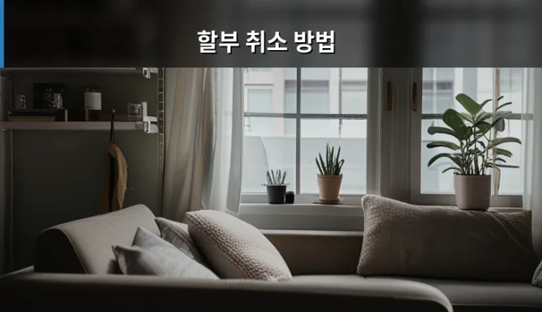카드 할부 취소 방법과 환불 절차 상세 안내