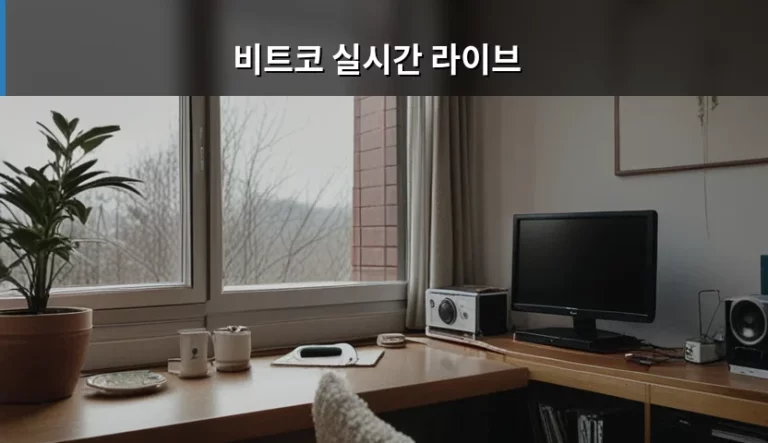 비트코 실시간 라이브 활용법과 안전한 투자 가이드