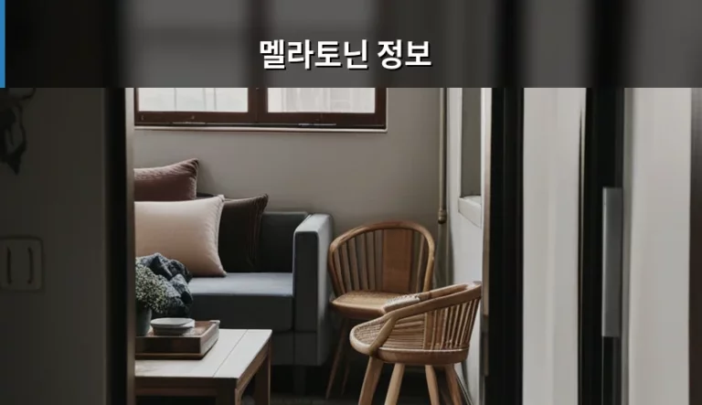 멜라토닌 정보와 올바른 복용법 및 주의사항 가이드